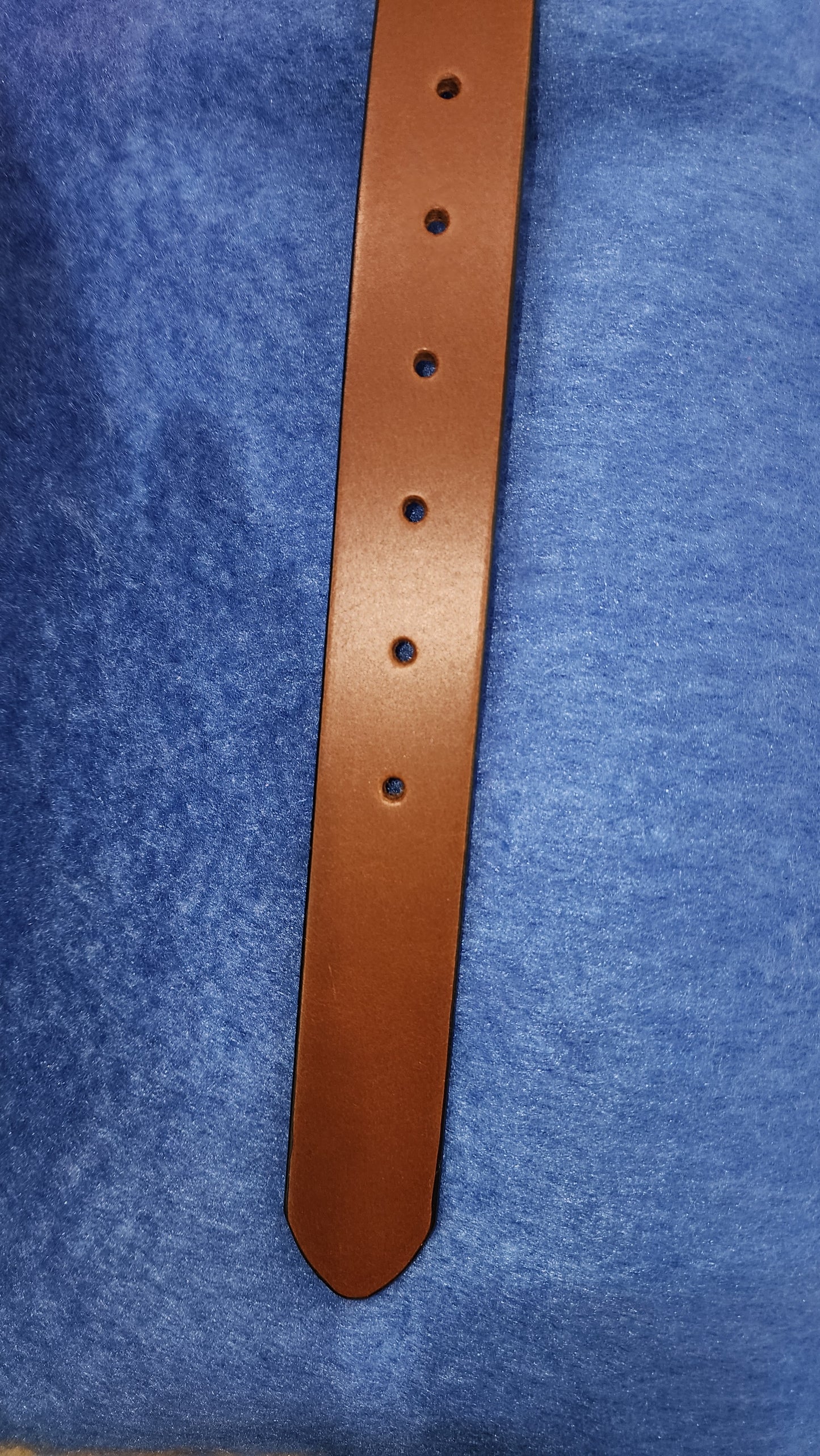 Parisian Norfolk Belt