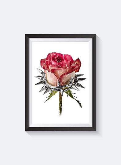 Federation Rose N Thorns Print