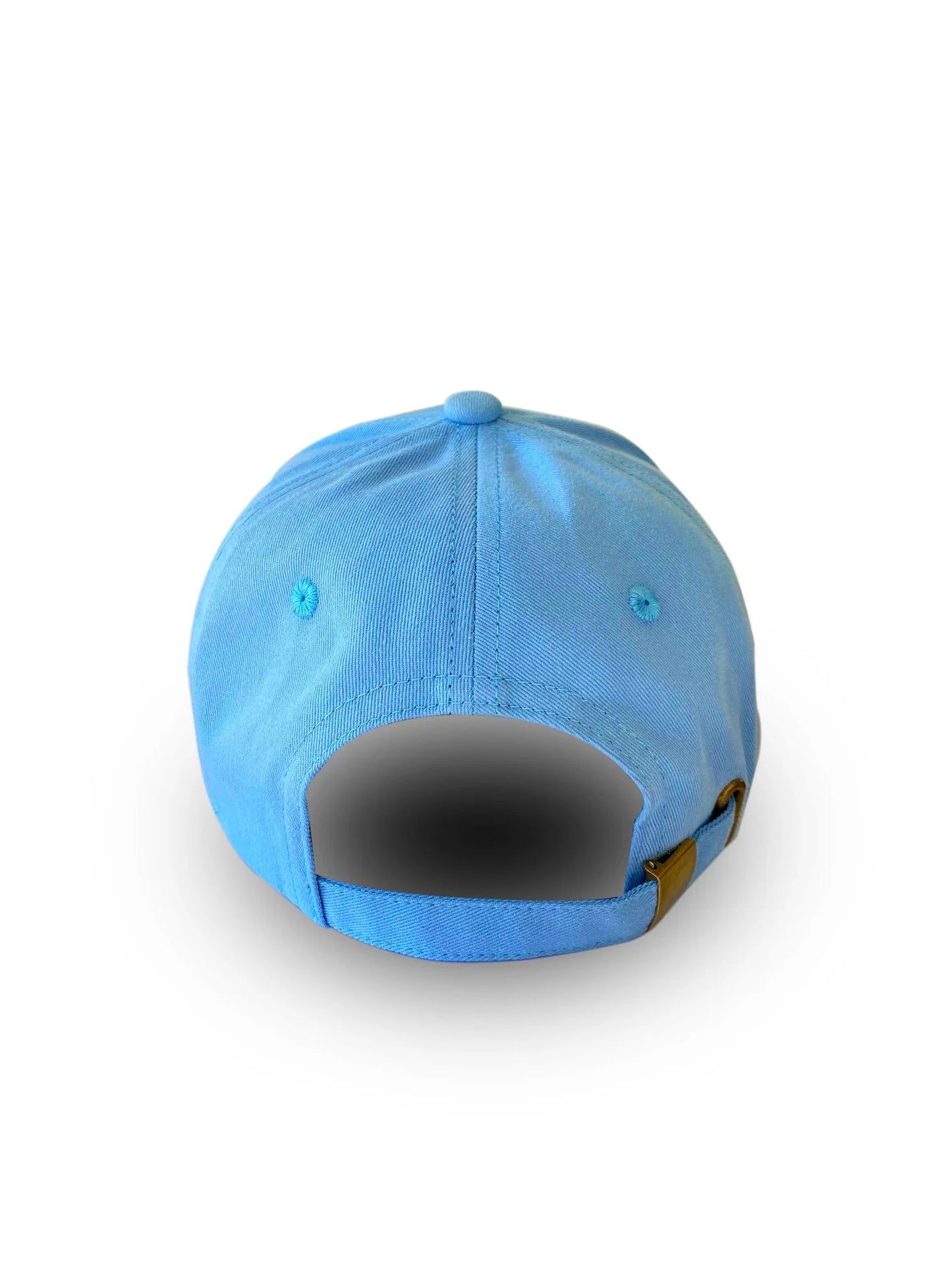 Dark Hampton Cap