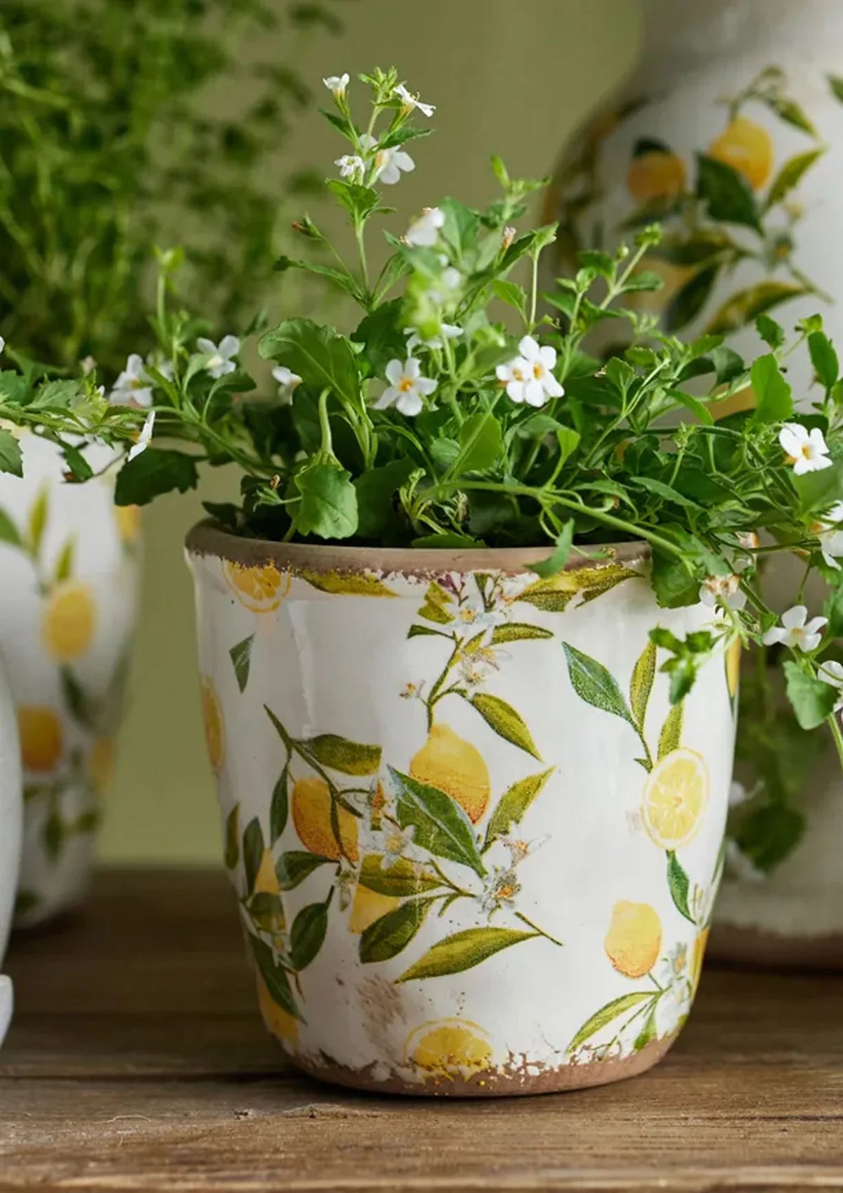 Rembrandt Lemon and Leaves Planter Pair
