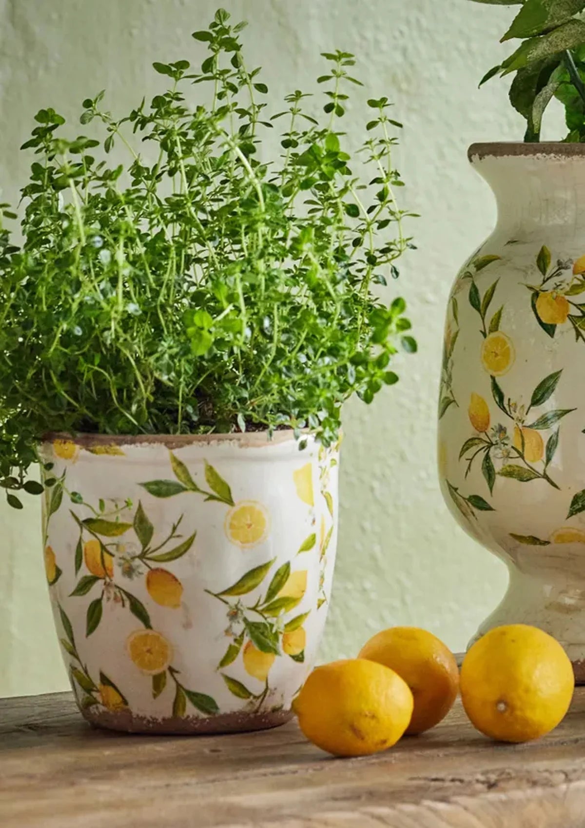 Rembrandt Lemon and Leaves Planter Pair