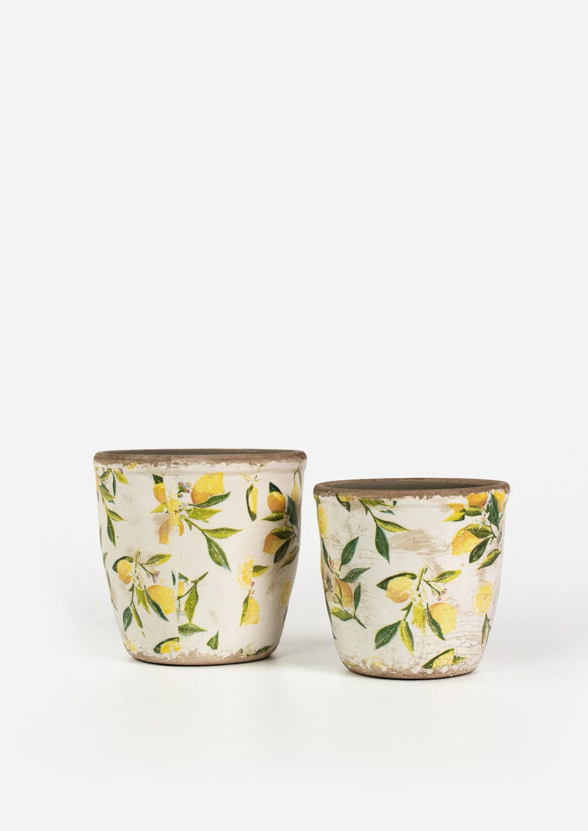 Rembrandt Lemon and Leaves Planter Pair