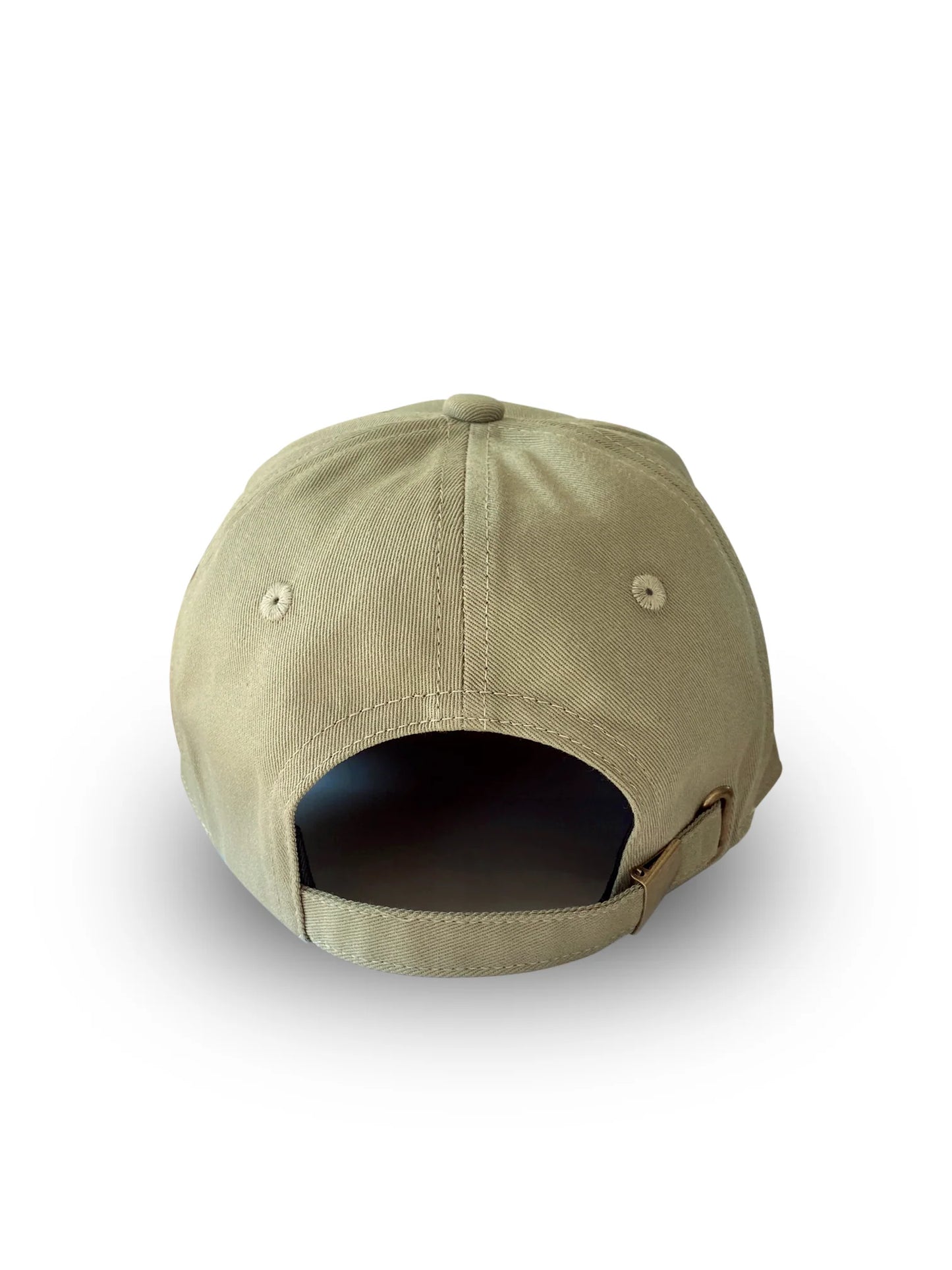 Dark Hampton Cap