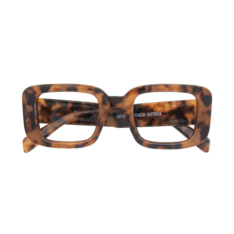 Captivated Eyewear Shilla