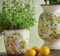 Rembrandt Lemon and Leaves Planter Pair