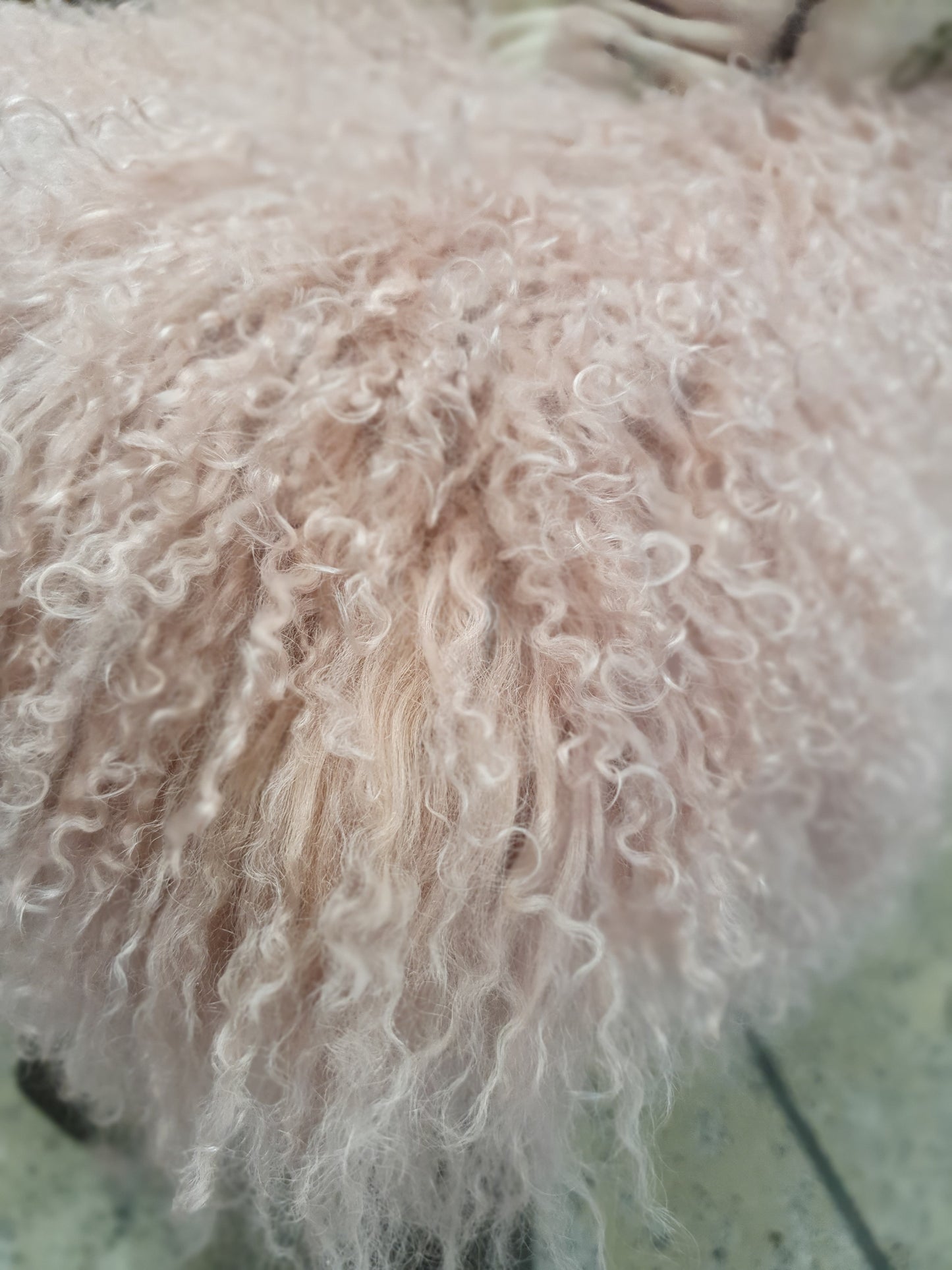 Kinsley Tibetan Lamb Skin Double