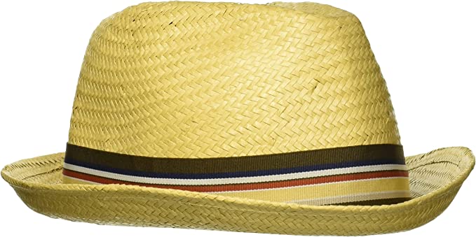 Brixton Castor Fedora