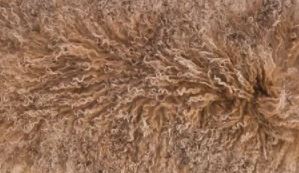 Kinsley Tibetian Lamb Hides- Single