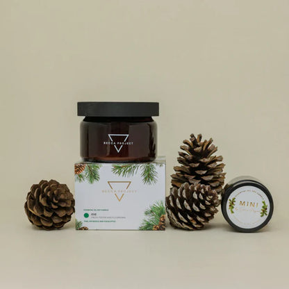 Becca Project Christmas Candles