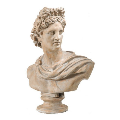 Rembrandt Large David Bust Statue