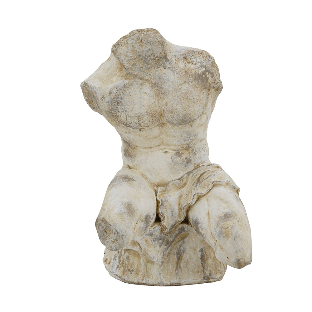 Rembrandt Belvedere Bust