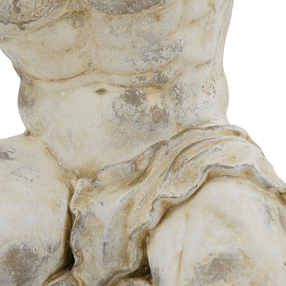 Rembrandt Belvedere Bust