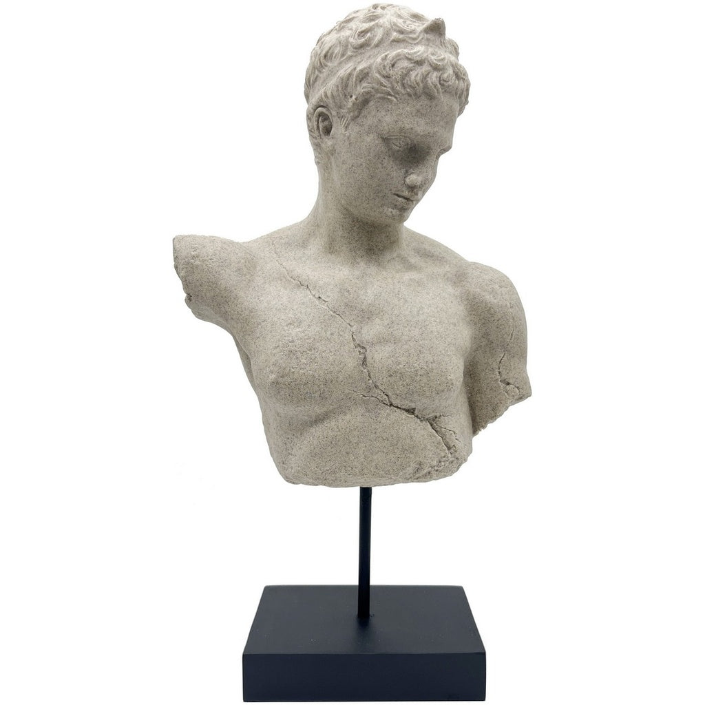 Rembrandt Roman Bust