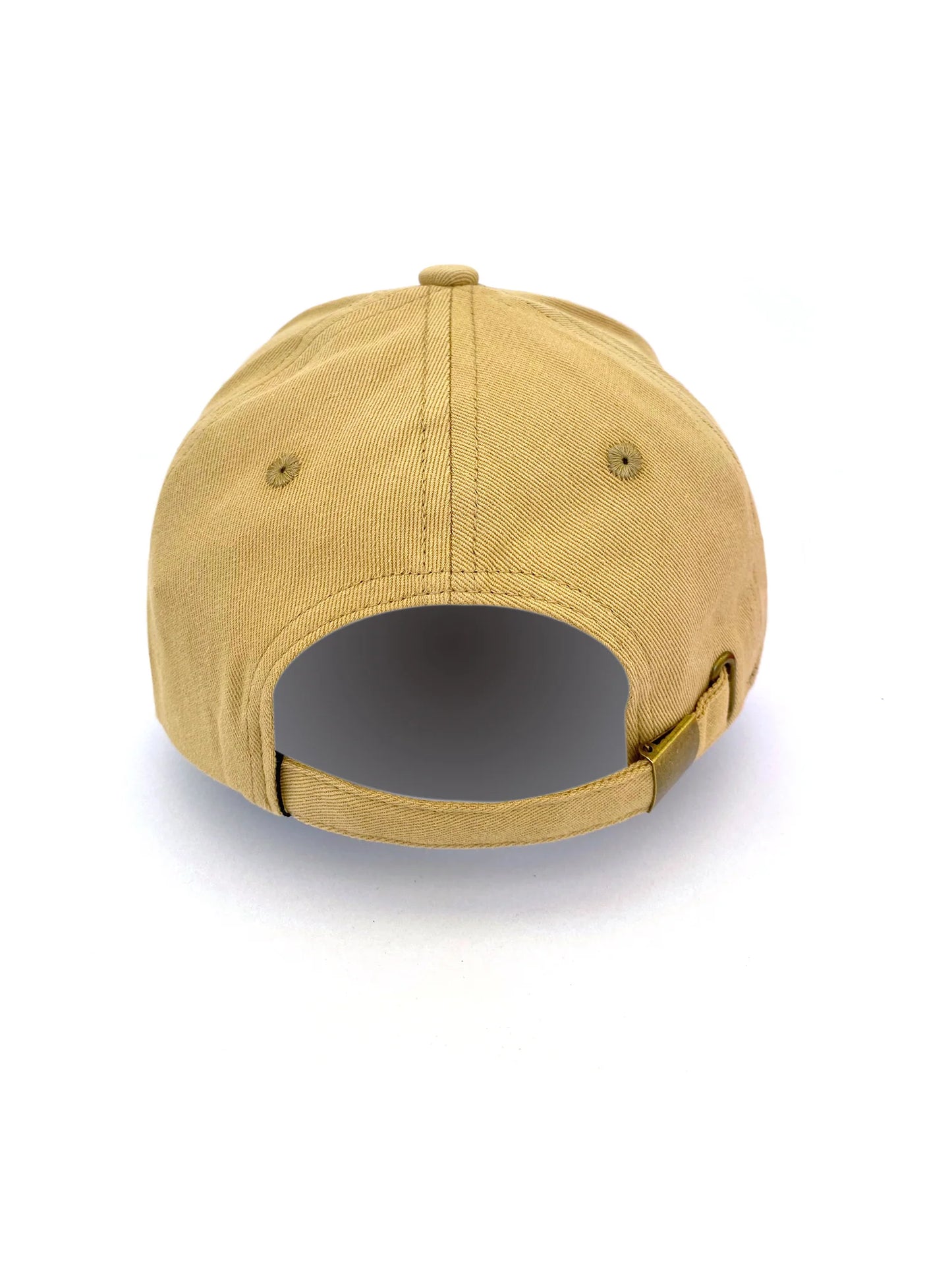 Dark Hampton Cap