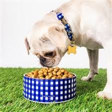Kate Spade NY Large Dog Bowl