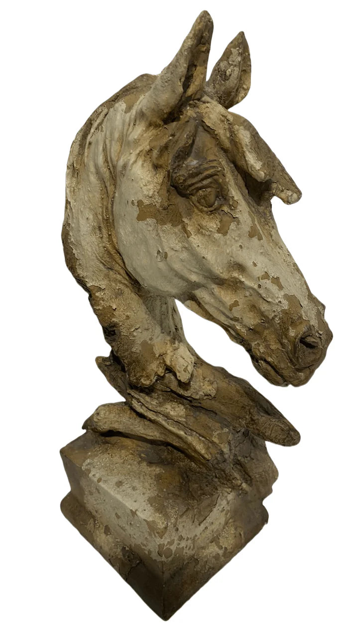 Rembrandt Horse Head Statue