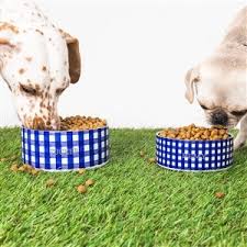 Kate Spade NY Large Dog Bowl