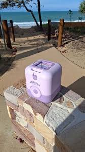 Vanstar Coolers with Bluetooth Speaker