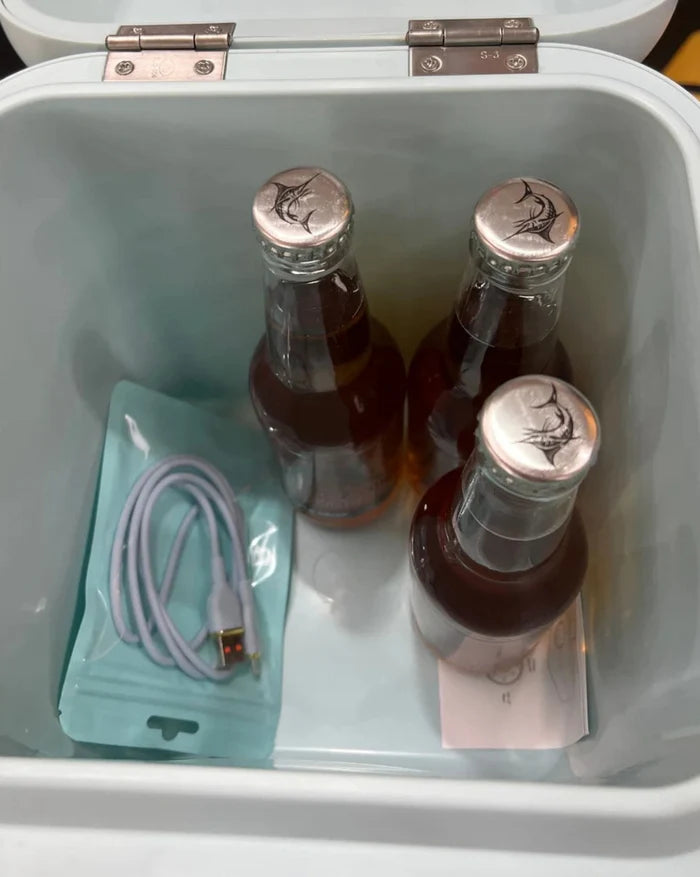 Vanstar Coolers with Bluetooth Speaker