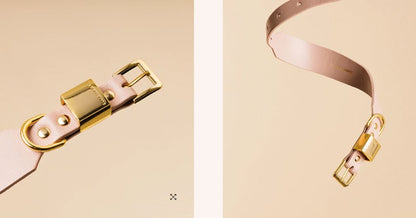 Ollie & James - Blush Pink Collar