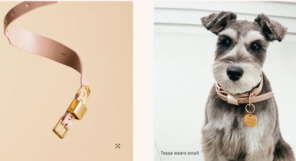 Ollie & James - Blush Pink Collar