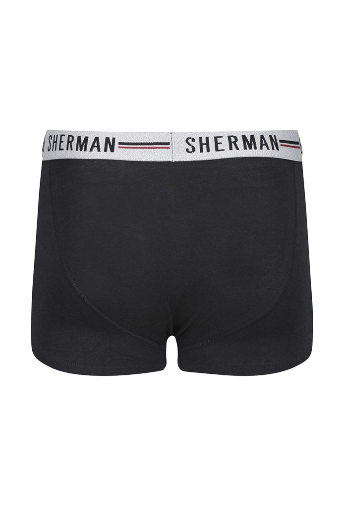 Ben Sherman Trunks - 3 Pack