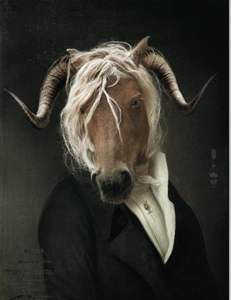 Sisters Matter Art - Horsing Around