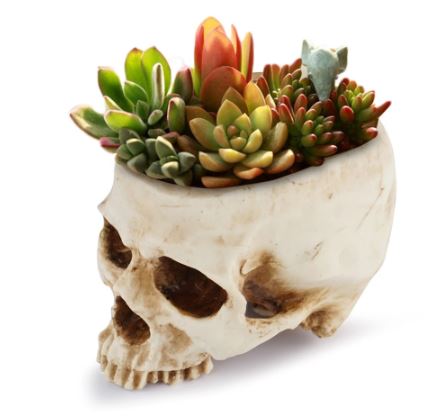 Sisters Matter Skull Planter/Holder