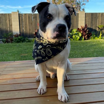 Olives Kitchen Dog Bandana