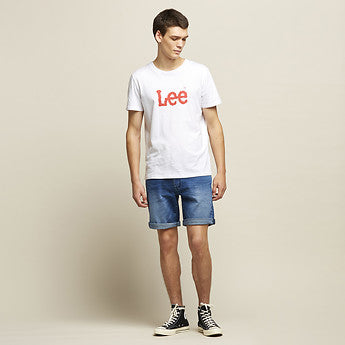Lee L-Three Short Turbulence