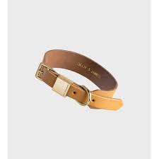 Ollie and James Collar Camel